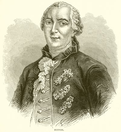 Buffon alkotó: English School