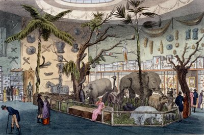 Bullocks Museum, 22 Piccadilly, London, Ackermanns Repository of Arts, 1809 alkotó: English School