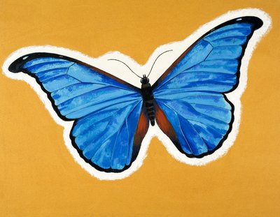 Pillangó alkotó: English School