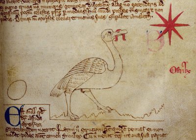 CCA-LitMs/D/10 fol. 16r Strucc, Bestiáriumból alkotó: English School
