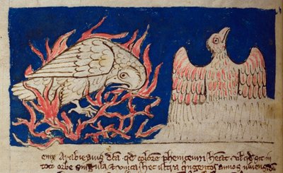CCA-LitMs/D/10 fol. 17v Pheonix, a Bestiarytől alkotó: English School