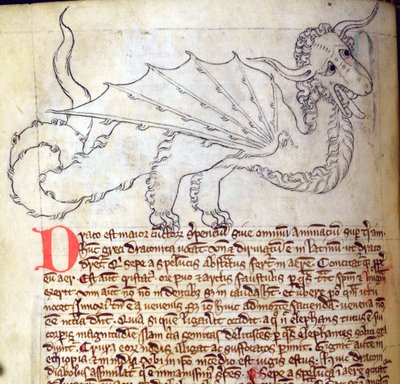 CCA-LitMs/D/10 fol. 24v Dragon, a Bestiary-től alkotó: English School