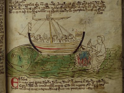CCA-LitMs/D/10 fol. 30r Whale, a Bestiaryból alkotó: English School