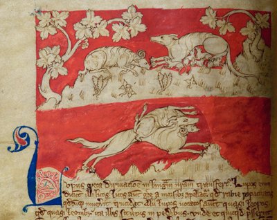 CCA-LitMs/D/10 fol. 4v Wolf, a Bestiary-től alkotó: English School