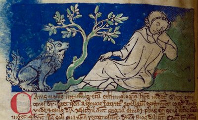 CCA-LitMs/D/10 fol. 5v Dog, a Bestiary-től alkotó: English School