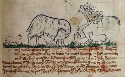 CCA-LitMs/D/10 fol. 8r Juh, Bestiáriumból alkotó: English School