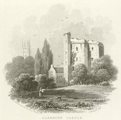 Cardiff kastély (metszet) alkotó: English School