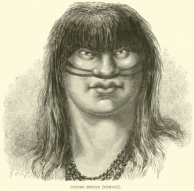Canibo indián, nő alkotó: English School