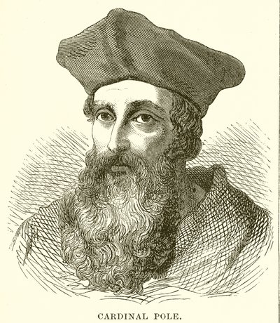 Pólus bíboros alkotó: English School