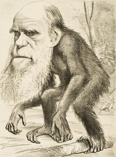 Charles Darwin karikatúrája alkotó: English School