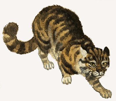 Cat alkotó: English School