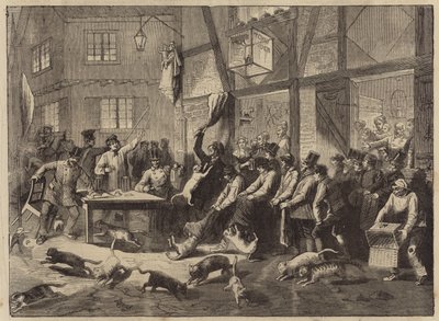 Macskaverseny Liege-ben alkotó: English School