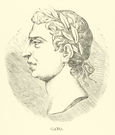 Cato alkotó: English School