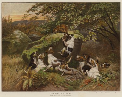 Végre elkapva (színes gravírozás) alkotó: English School