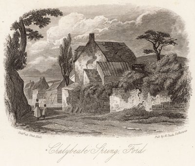 Chalybeate tavaszi Ford alkotó: English School