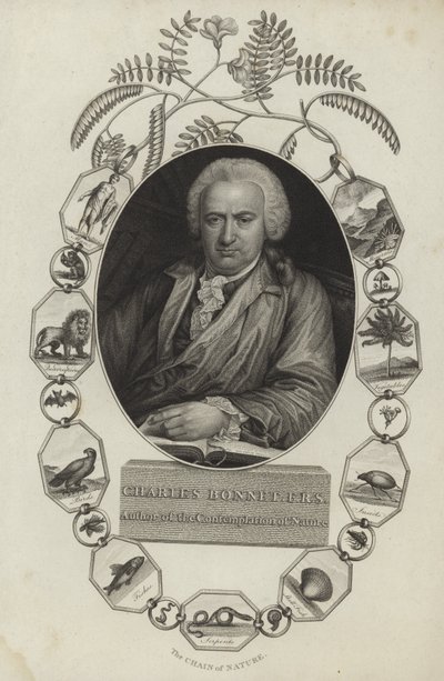 Charles Bonnet alkotó: English School
