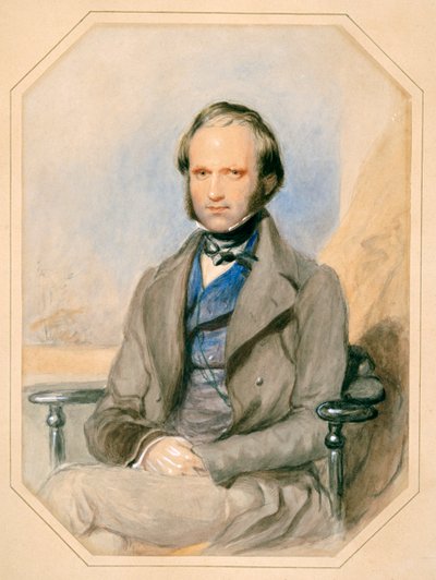 Charles Darwin (akvarell papíron) alkotó: English School