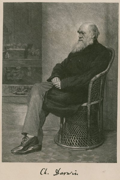 Charles Darwin alkotó: English School