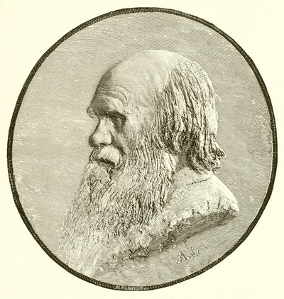 Charles Darwin alkotó: English School