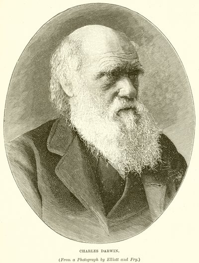 Charles Darwin alkotó: English School