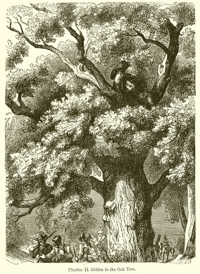 Károly II. elrejtve a Tölgyfában alkotó: English School