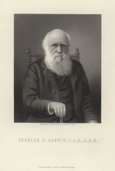 Charles R. Darwin alkotó: English School
