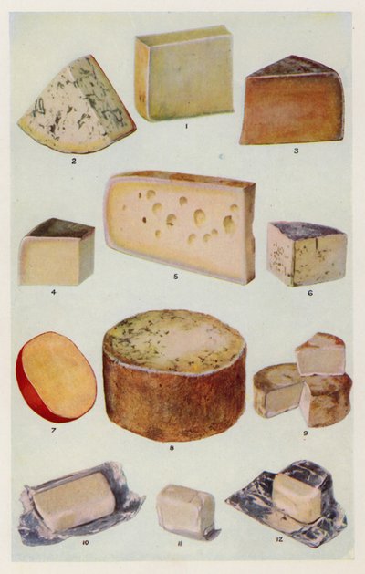 Cheddar; Gorgonzola; Double Gloster; Parmezán; Gruyere; Roquefort; Holland; Stilton; Camembert; St Ives; Krém (színes litográfia) alkotó: English School