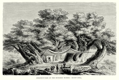 A száz ló gesztenyefa: Etna (metszet) alkotó: English School