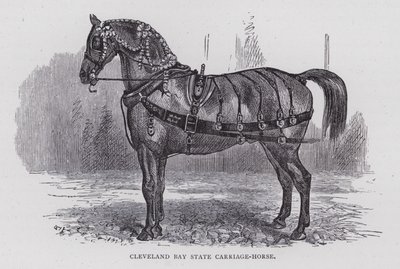 Cleveland Bay State Carriage-Horse (metszet) alkotó: English School