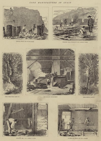 Parafa gyártás Spanyolországban (metszet) alkotó: English School