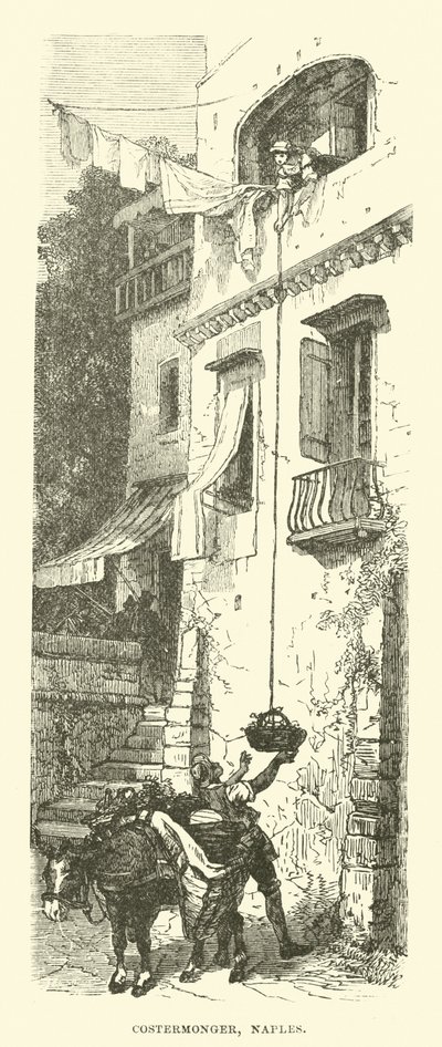 Costermonger, Nápoly alkotó: English School
