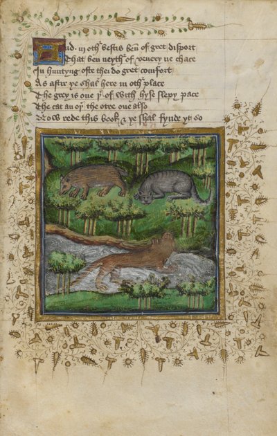 Cotton Vespasianus B. XII, f.4 Borz, vadmacska és vidra illusztrációja; verssel, William Twety és John Gyfford „Treatise on Hunting” című könyvéből, 1440 körül (vellum) alkotó: English School