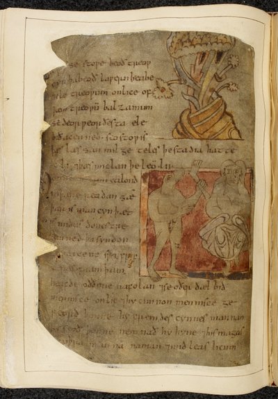 Cotton Vitellius A. XV f.103v, Fa, amelyből balzsam nő; egy donestre, egy vadfejű férfi, a bal oldalon egy emberi lábbal és egy személy, a jobb oldalon egy személy, illusztráció Beowulfból, a „Nowell Codex”-ből (tinta pergamenen) alkotó: English School