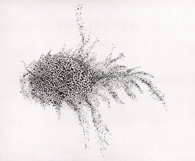 "Rák-köd" William Parsons "Observations on some of the Nebulae" című művéből, a "Philosophical Transactions of the Royal Society" című kiadványból. alkotó: English School