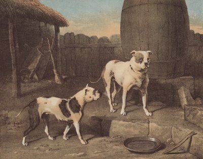 Kiságy és Rosa (chromolitho) alkotó: English School
