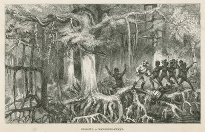 Átkelés egy mangrove mocsáron alkotó: English School