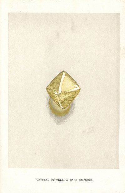 Crystal of Yellow Cape Diamond, Edwin Streeter "Precious Stones and Gems" című művéből, London, George Bell & Sons alkotó: English School