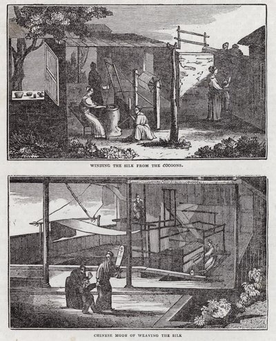 Selyem termesztése (metszet) alkotó: English School