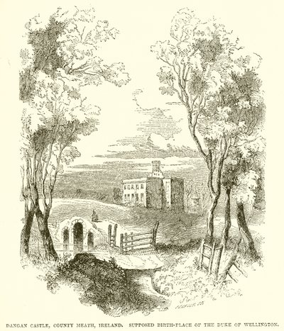 Dangan kastély, Meath megye, Írország. Wellington hercegének feltételezett születési helye alkotó: English School