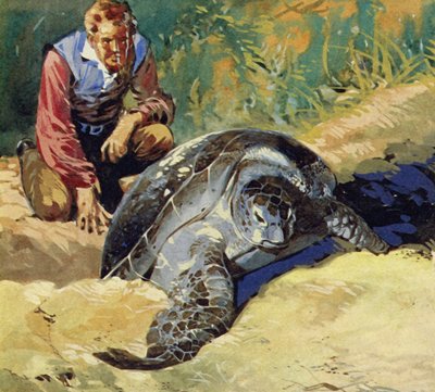Darwin azon töprengett, hogy a Galápagos-szigetek óriásteknősei miért különböznek az egyes szigeteken alkotó: English School