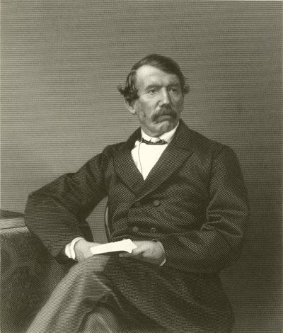 David Livingstone alkotó: English School