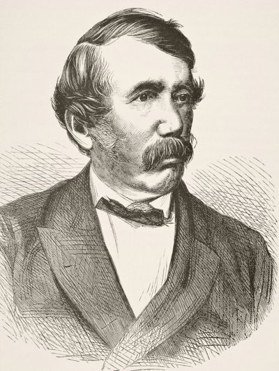 David Livingstone, William Hickman Smith Aubrey (1858-1916) „Anglia nemzeti és hazai története” című művéből, London, 1890 körül alkotó: English School