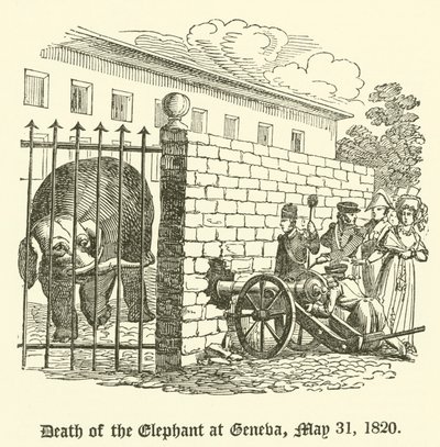 Az elefánt halála Genfben, 1820. május 31 alkotó: English School