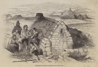 Nyomorság Írországban, a burgonyatermés kudarca alkotó: English School