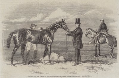 Diophantus, a Newmarket kétezer-guineai tétjének nyertese (metszet) alkotó: English School