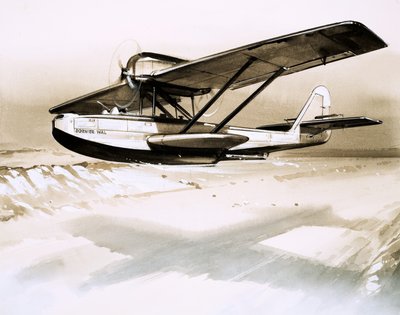 Dornier Wal, kétmotoros német repülőhajó alkotó: English School