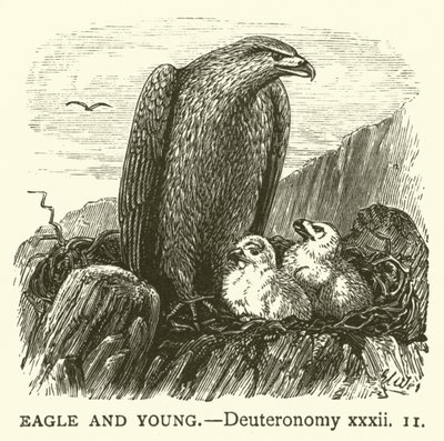 Eagle and Young, Deuteronomy, xxxii alkotó: English School