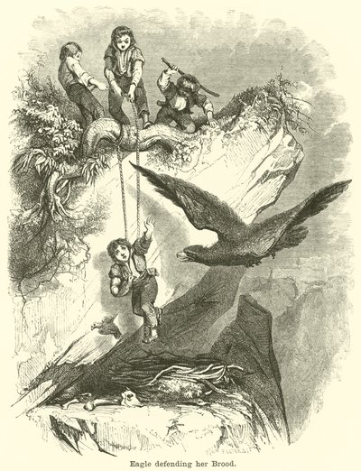 Eagle védi fiát alkotó: English School