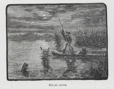 Angolna-nyársalás (metszet) alkotó: English School