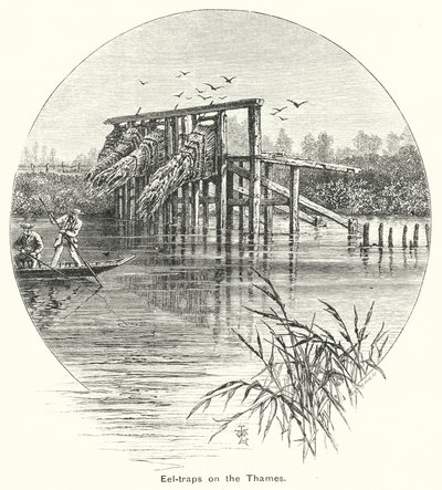 Angolnacsapdák a Temzén (metszet) alkotó: English School